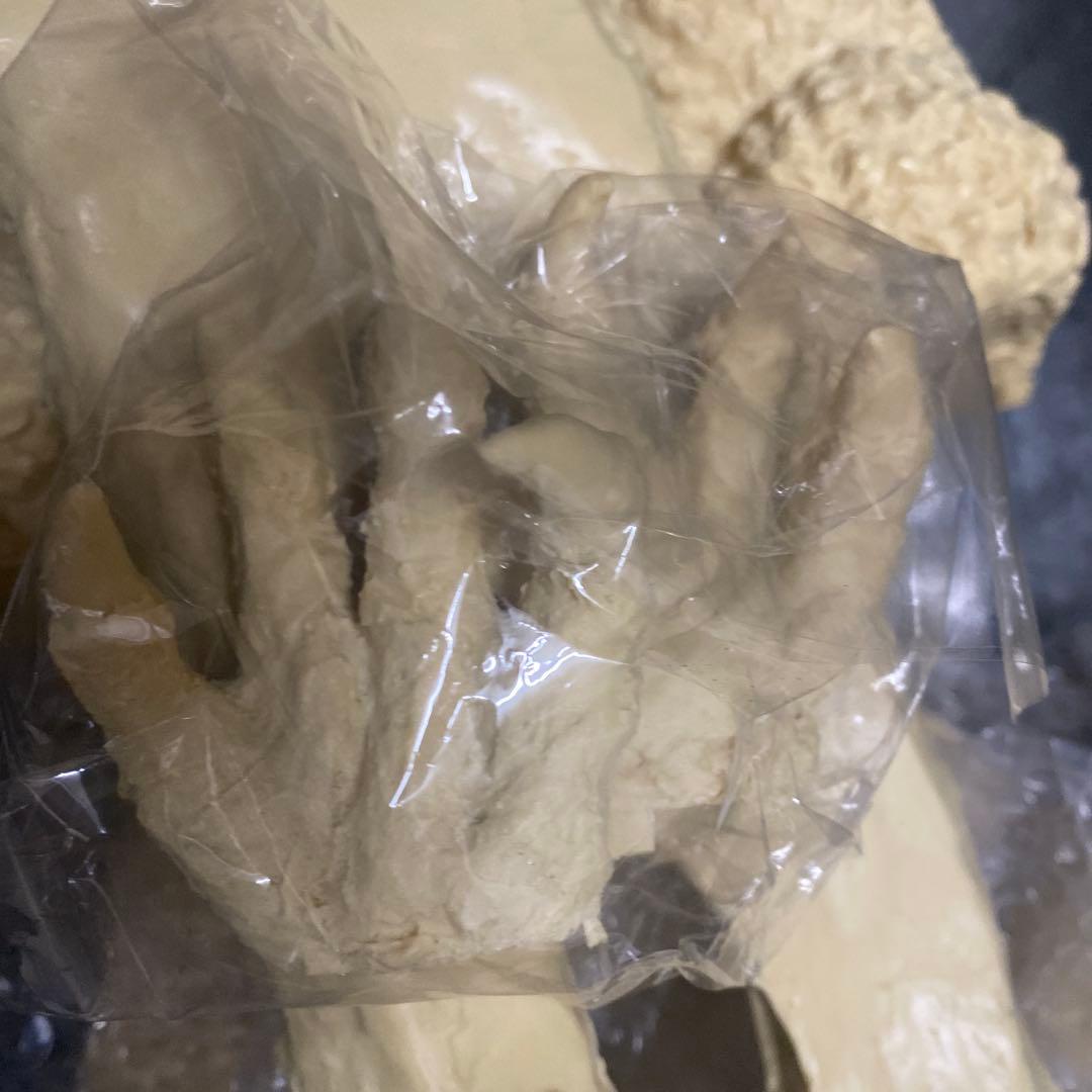 ゴジラ★ガレージキット★レジン★モスゴジ★M1号★限定数50体★全高,約50cm