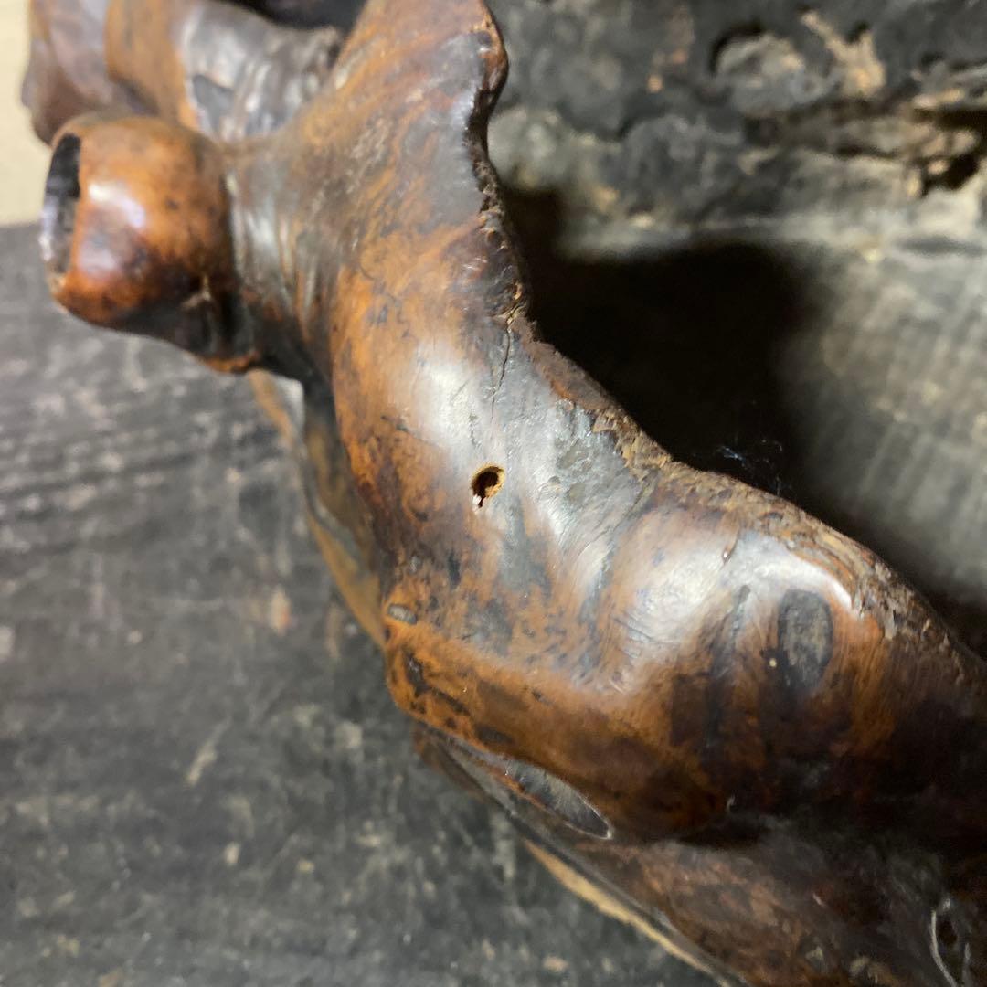 木の根ひょっこり猫　煙草盆