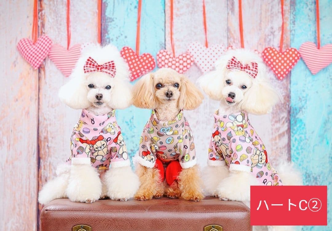 背景布×10枚+2　ペット撮影用ブース　トリミングチョーカー販売中　ペットサロン