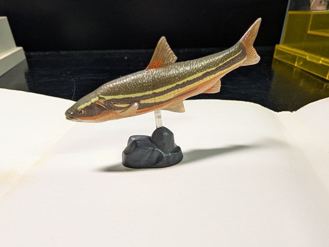 チョコQ 　日本の動物7 全23種＋シークレット3種＋シークレット＋1