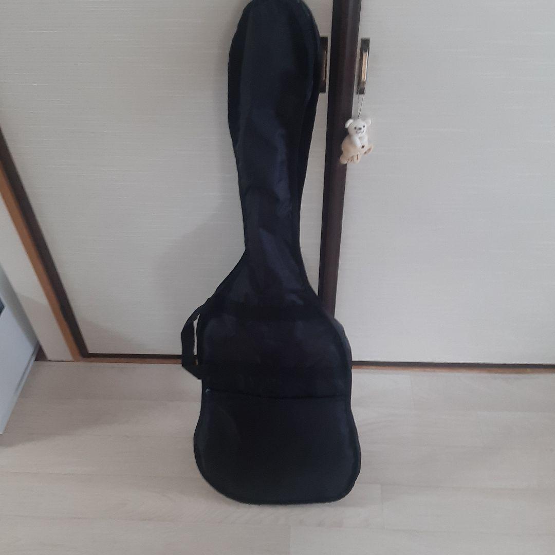 エレキギターST16とPG-10 ギター＆ベースアンプ