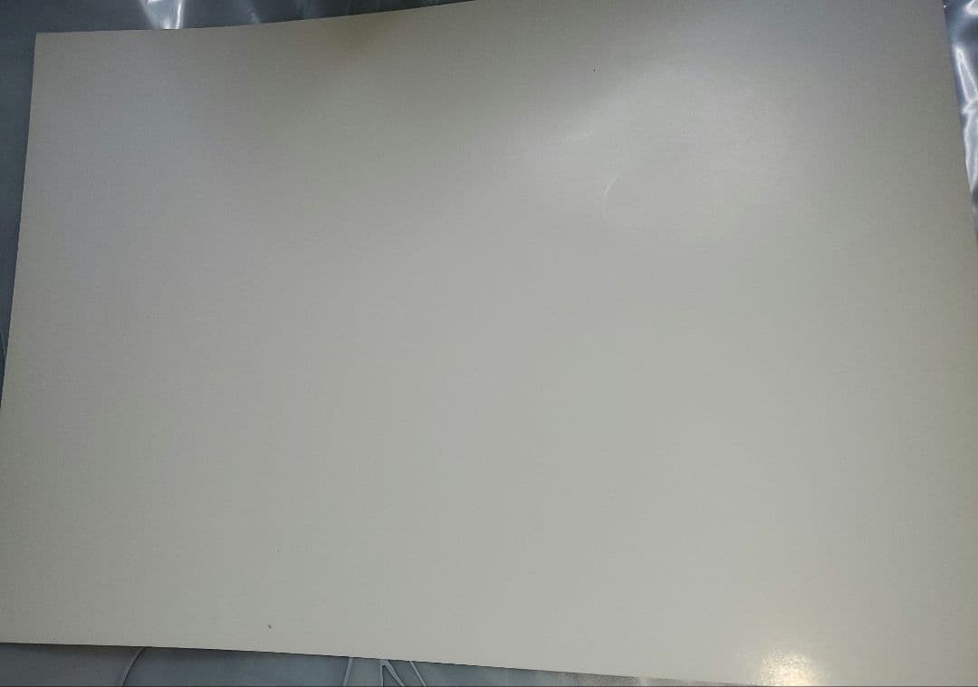 ガゼット the GazettE reila 特典 直筆サイン ポートレート