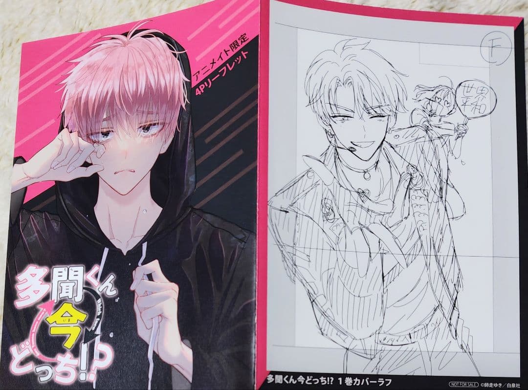 多聞くん今どっち　師走ゆき　２巻特典　サイン入りチェキ　アニメイト　リーフレット