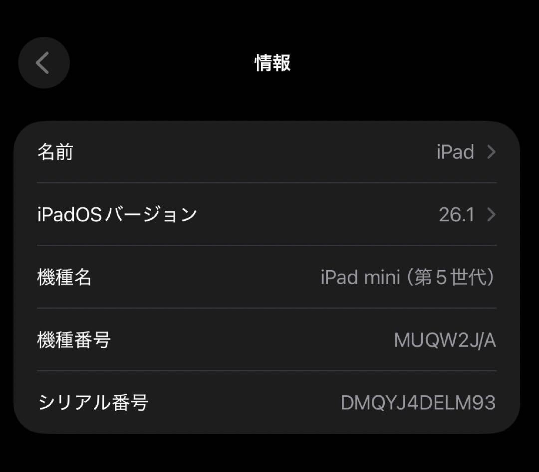 iPad mini (第5世代) スペースグレー 64GB Wi-Fi