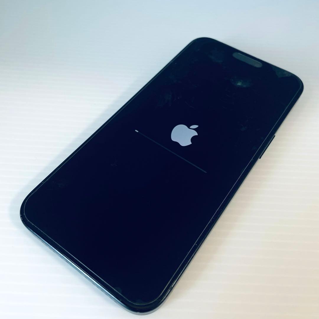 初期化済み！Apple iPhone15 Pro max 本体 512GB