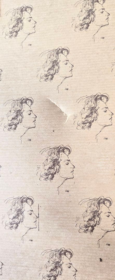 ユリの水彩画 1864年制作