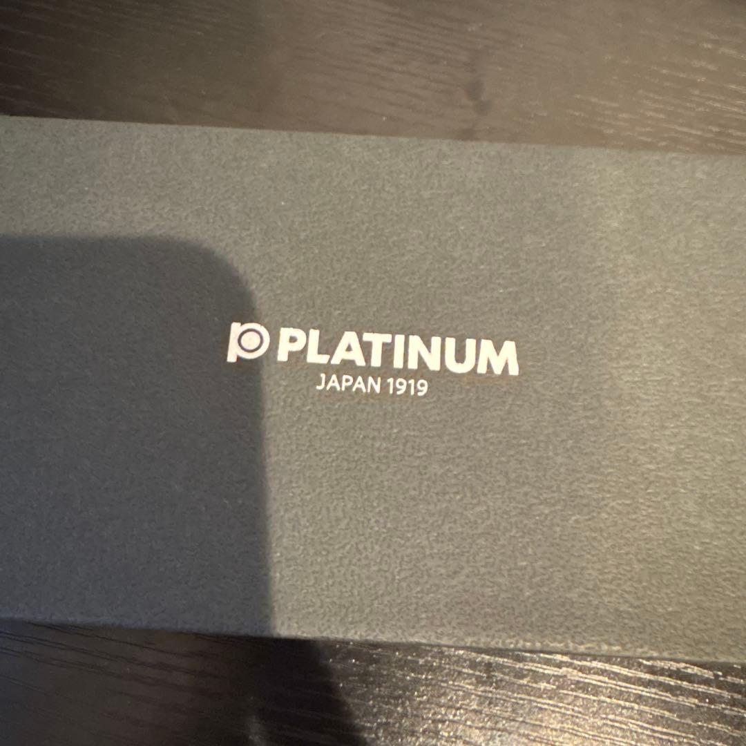 PLATINUM #3776 万年筆 Fサイズ スケルトン