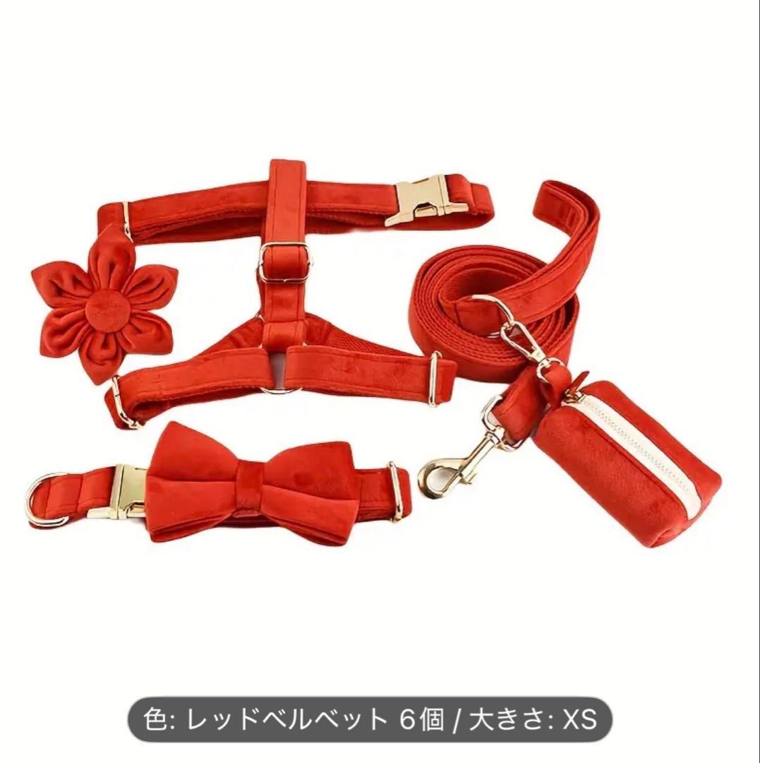 オーダー 名前 ネイム 首輪 ピンク リード ハーネス セット ベルベット