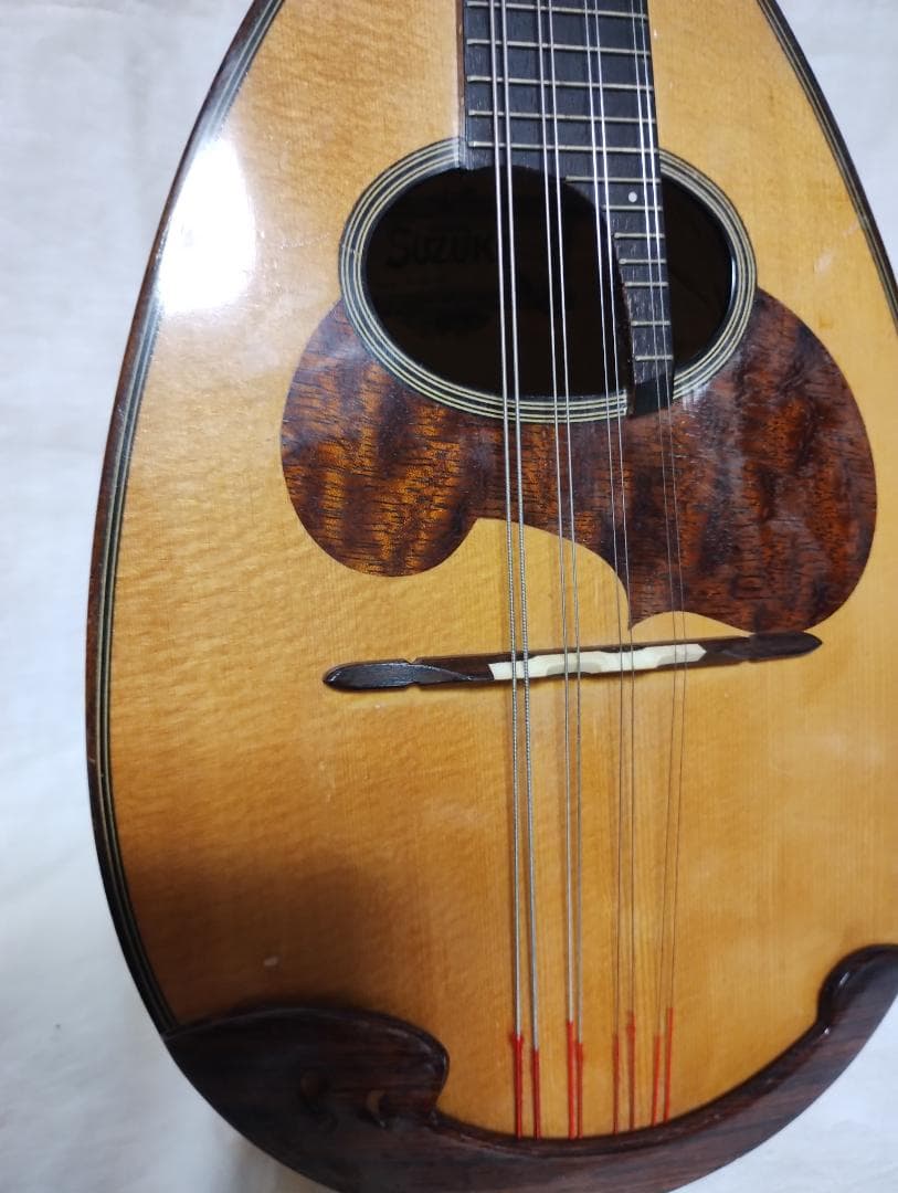 スズキ　マンドリン M-30