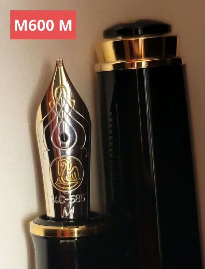 Purple fish　ペリカン　Pelikan万年筆　M600 M