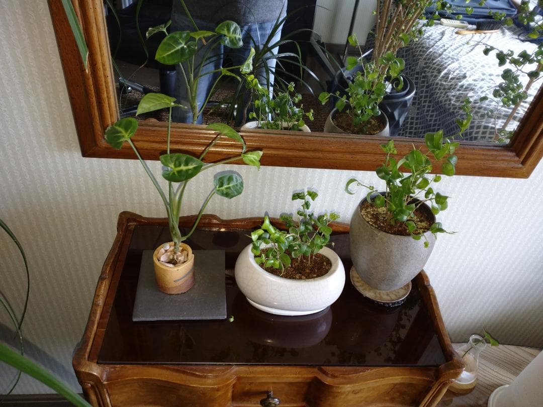 ★イタリアよりクラシカルな最高級の3段チェスト