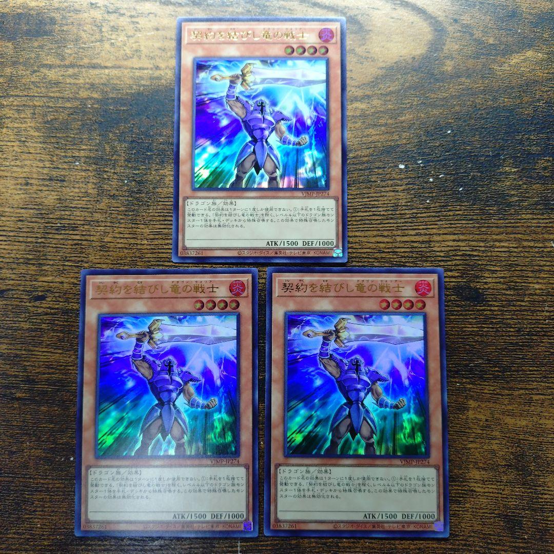 契約を結びし竜の戦士×3