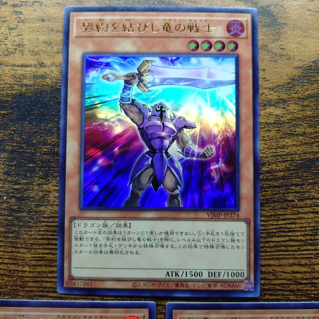 契約を結びし竜の戦士×3