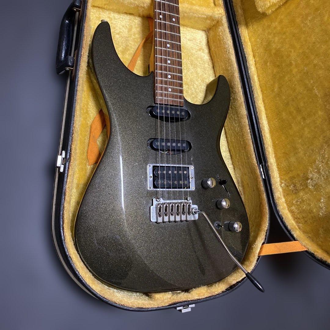 FERNANDES SUSTAINER純正ソフトケース