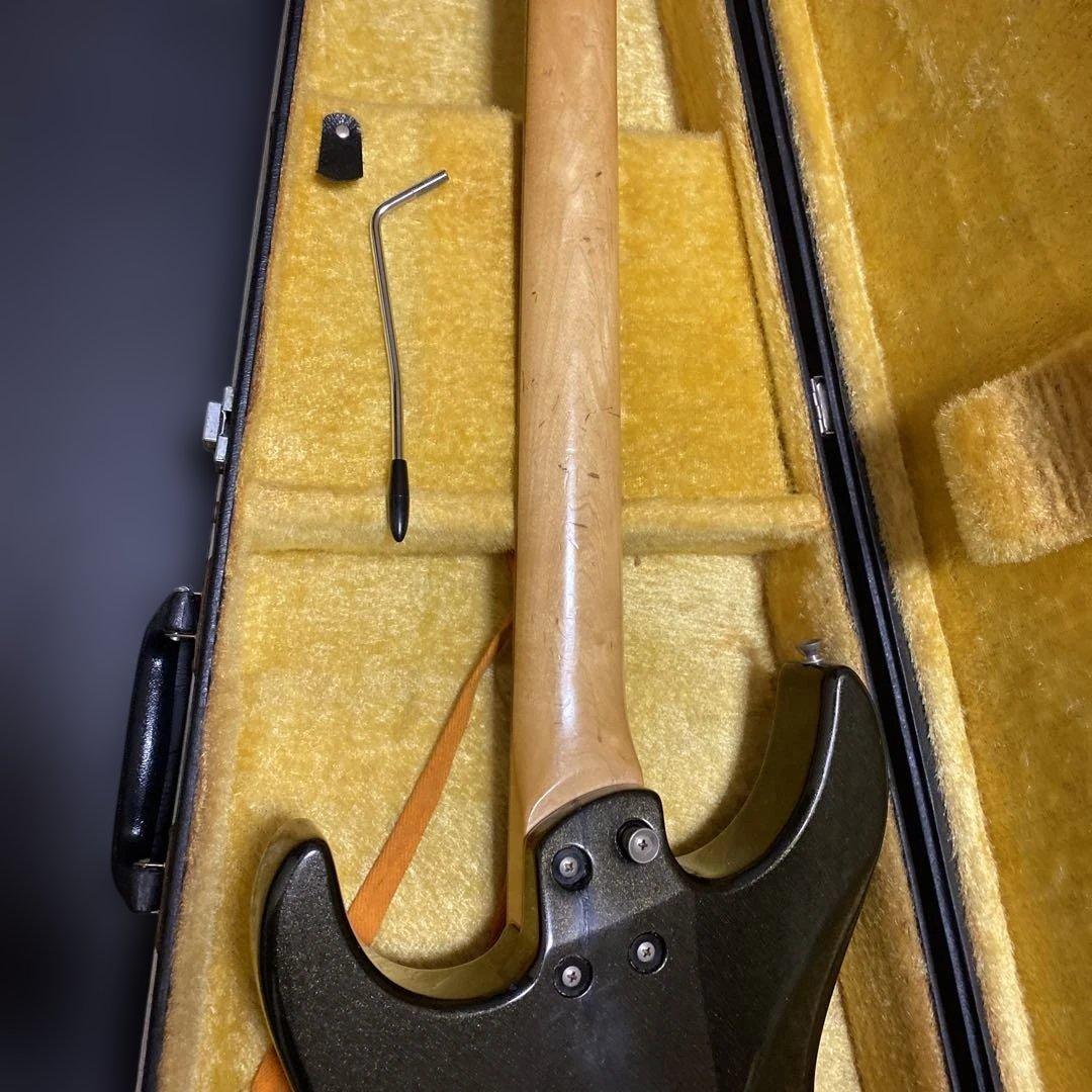 FERNANDES SUSTAINER純正ソフトケース