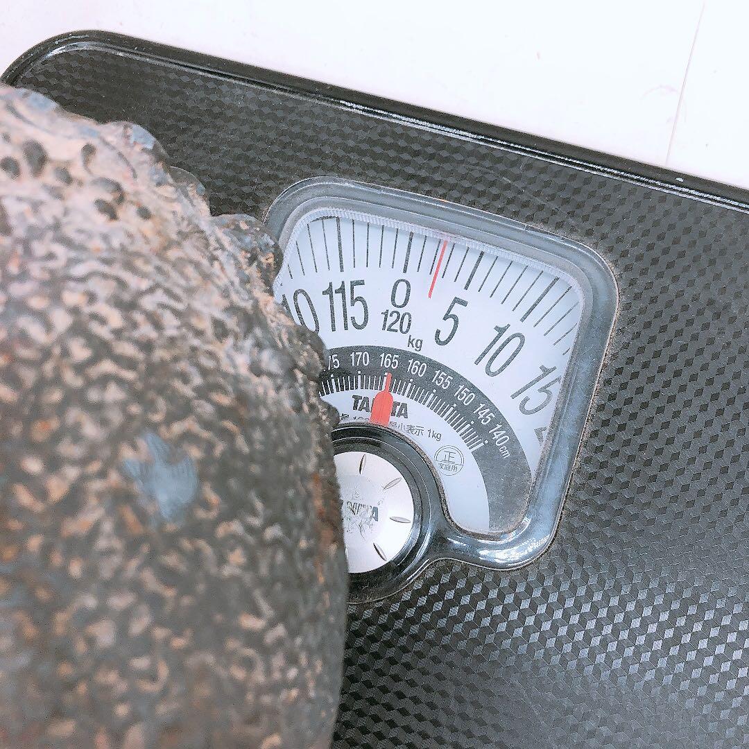 【要確認】日本亀文 鉄瓶 銅蓋 動物モチーフ 重さ約2.5kg アンテ