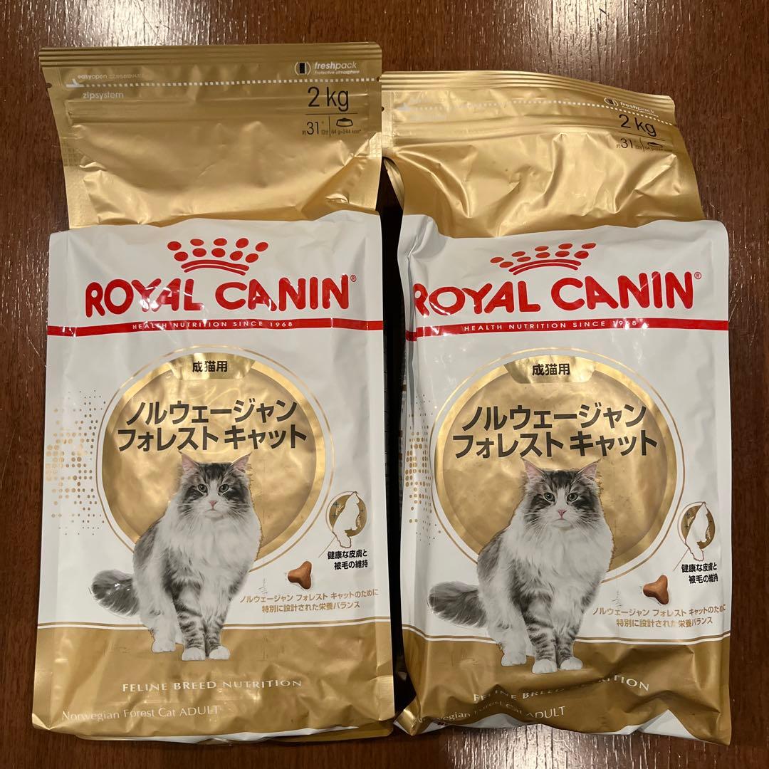 ロイヤルカナン　ノルウェージャンフォレストキャット　2Kg×2袋