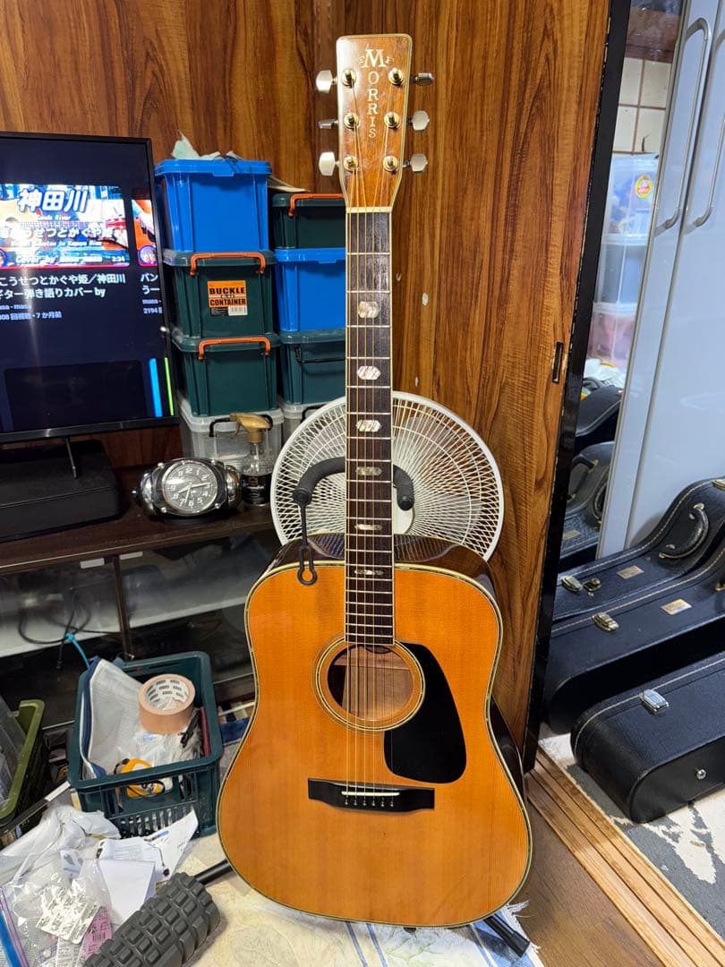 モーリス　TF801 Morris ハカランダ　アコースティックギター 中古品
