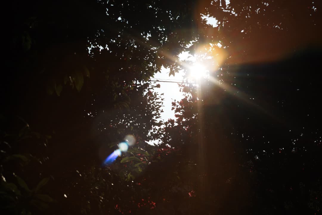 Yujiさん専用 動作◎ Super Takumar 55mm F1.8 16