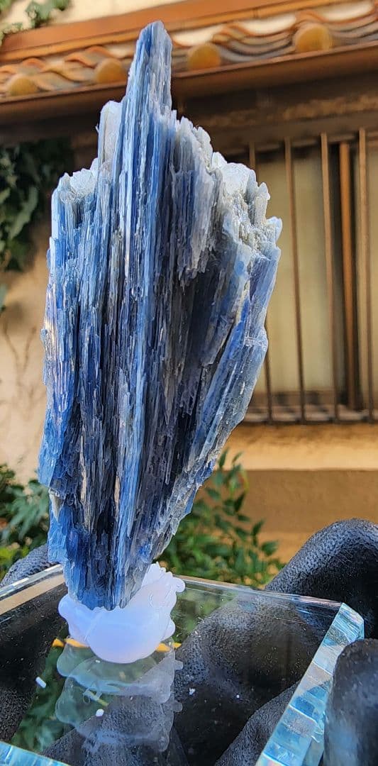 ブラジル・ミナスジェライス州産　極上ブルーカイヤナイト 原石 結晶　クォーツ共生