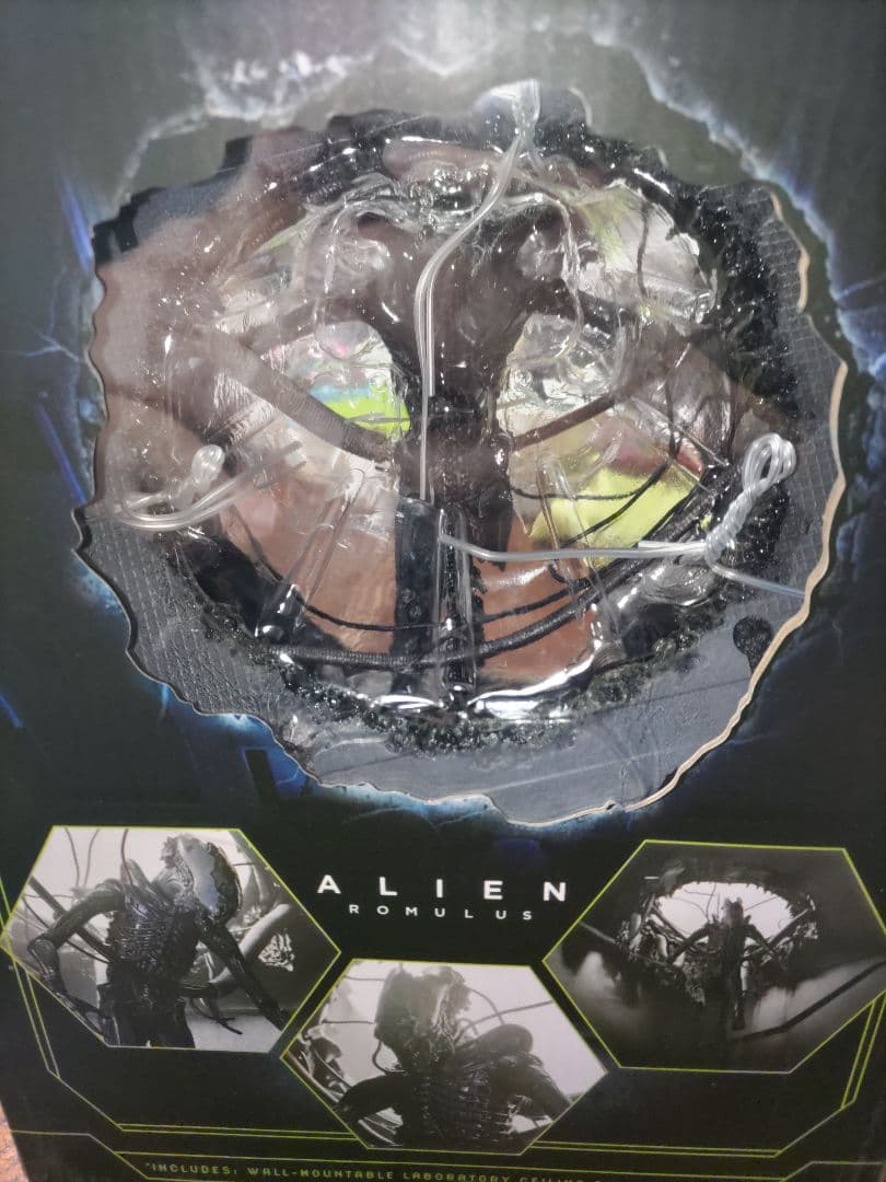 未開封　NECA ネカ　サスペンデッド　ラボ　ゼノモーフ　エイリアンロムルス