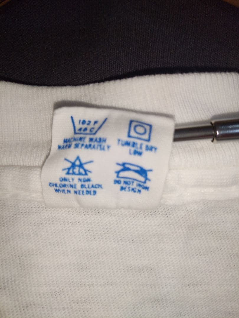 チャンピオンボディー　グーフィープリントティーシャツ