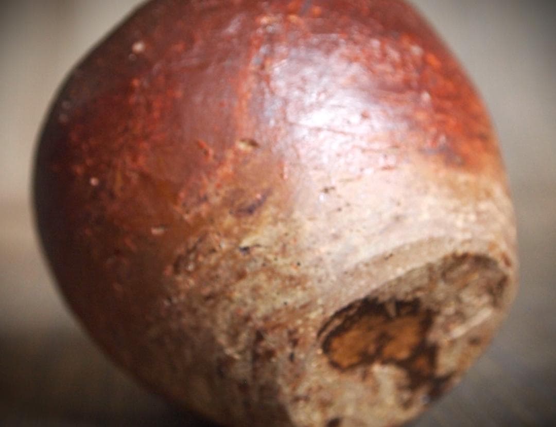 人気作家★星正幸【師：森陶岳】★備前ぐいのみ★共箱・布・栞