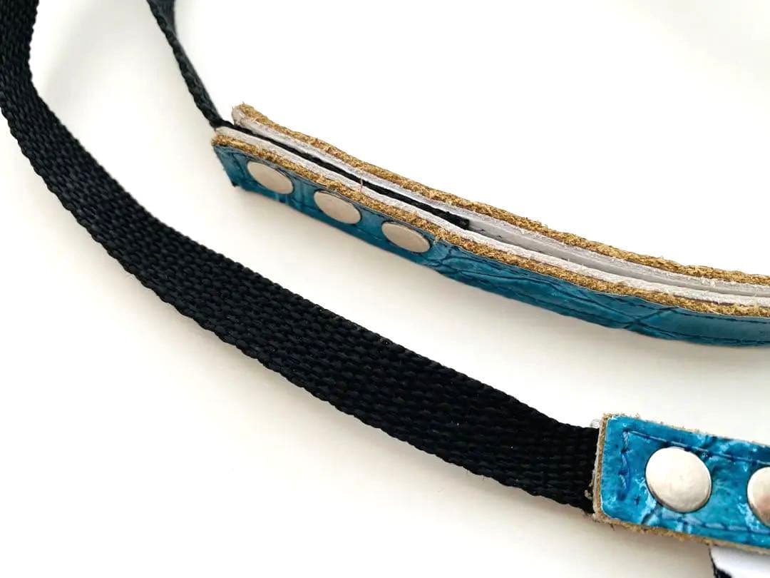 バディーベルト ブルーグリーン 3号 リードSサイズ 青色