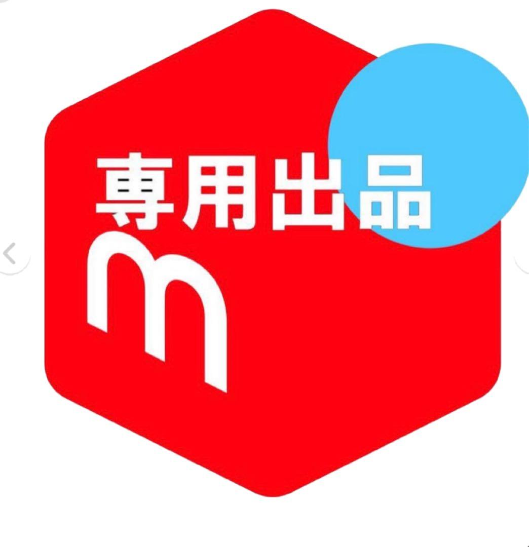 スカイラインGT-R RB26DETT 1/6模型 日下エンジニアリング 訳あり