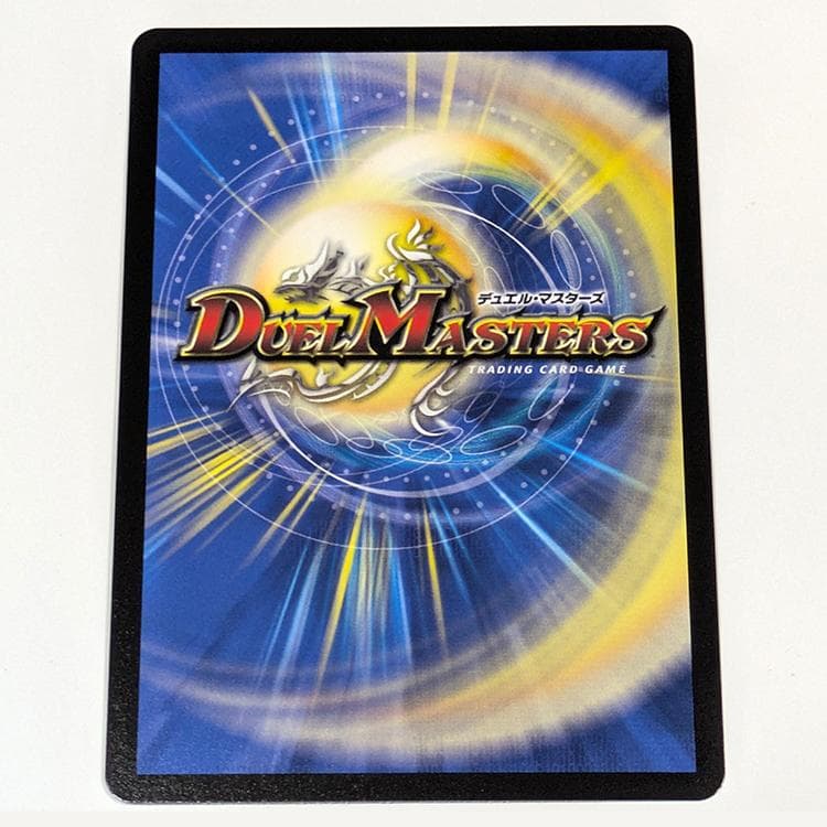 真気楼と誠愚感の決断 パーフェクトペテンシー シークレット シク