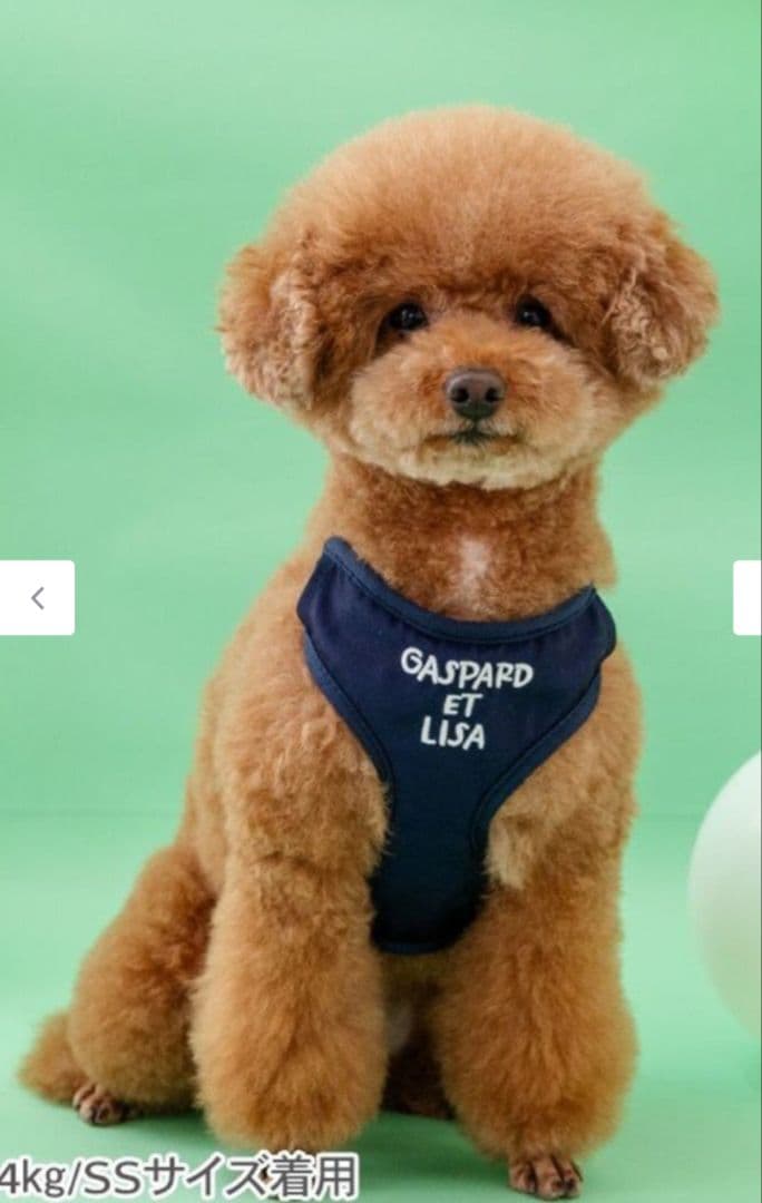 ペットパラダイス☆リサのマスコット付き❣️とっても可愛いハーネス＆リード☆3S