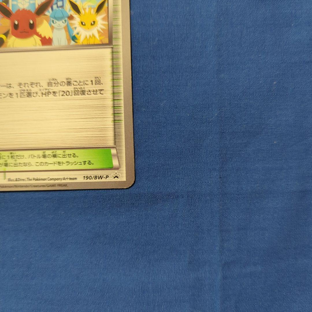 イーブイズ ポケモンセンター BW プロモ