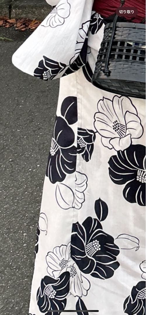 Dita 2024 浴衣5点セット【京の古典椿】