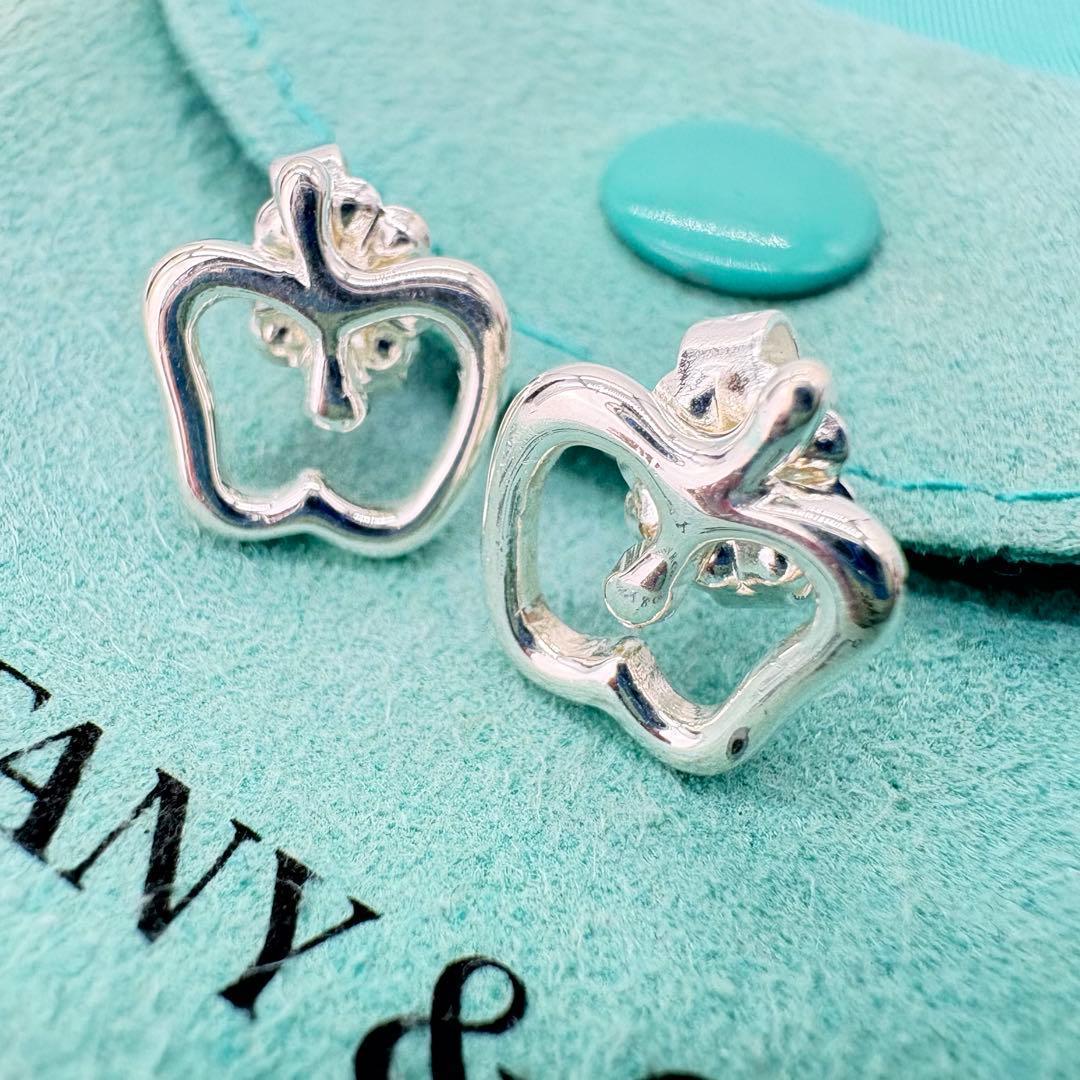 【極美品】ティファニー　アップルモチーフピアス　ミニサイズ　巾着袋セット　552