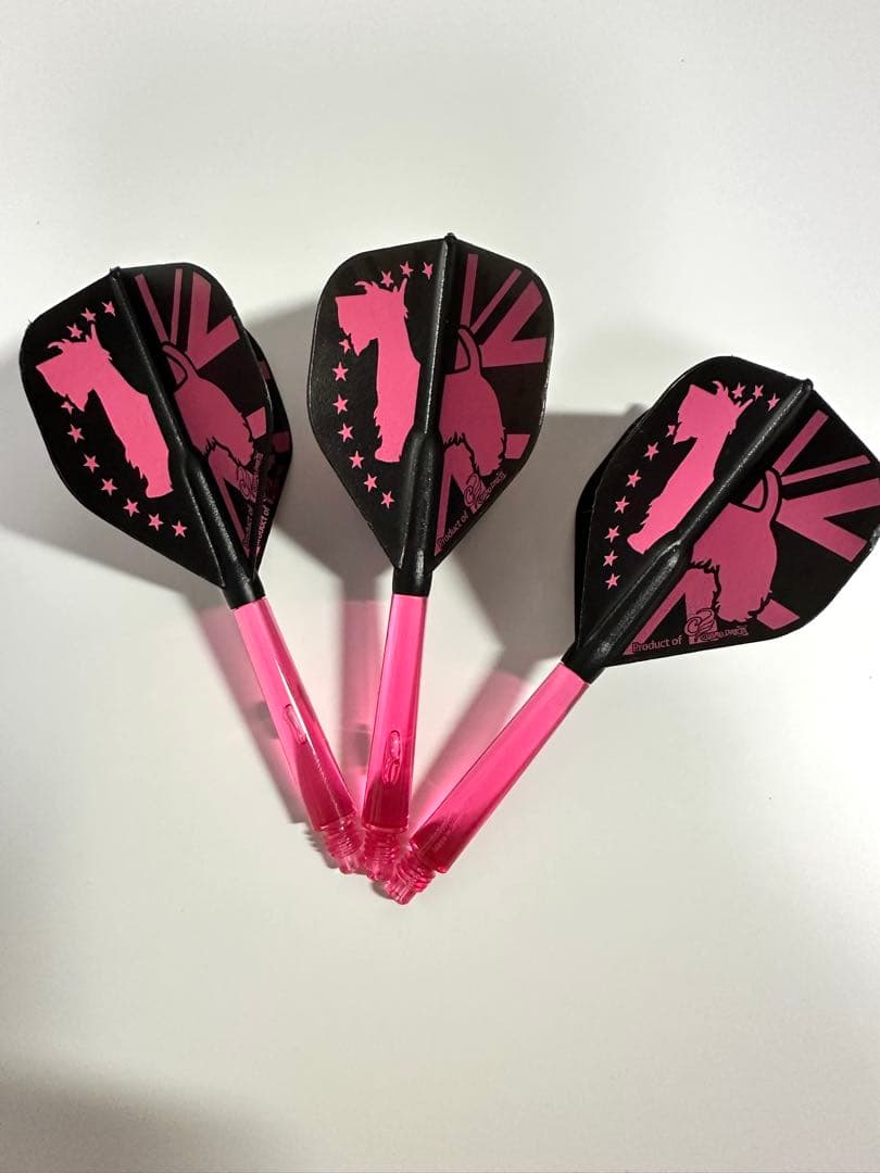 即購入〇　ダーツセット（オーダー品）