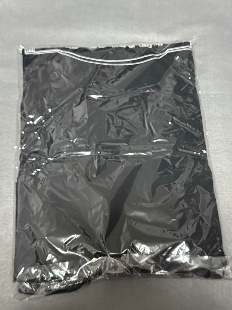 LOSTAGE 野音 Tシャツ 2XL サイズ グッズ バンド ロストエイジ