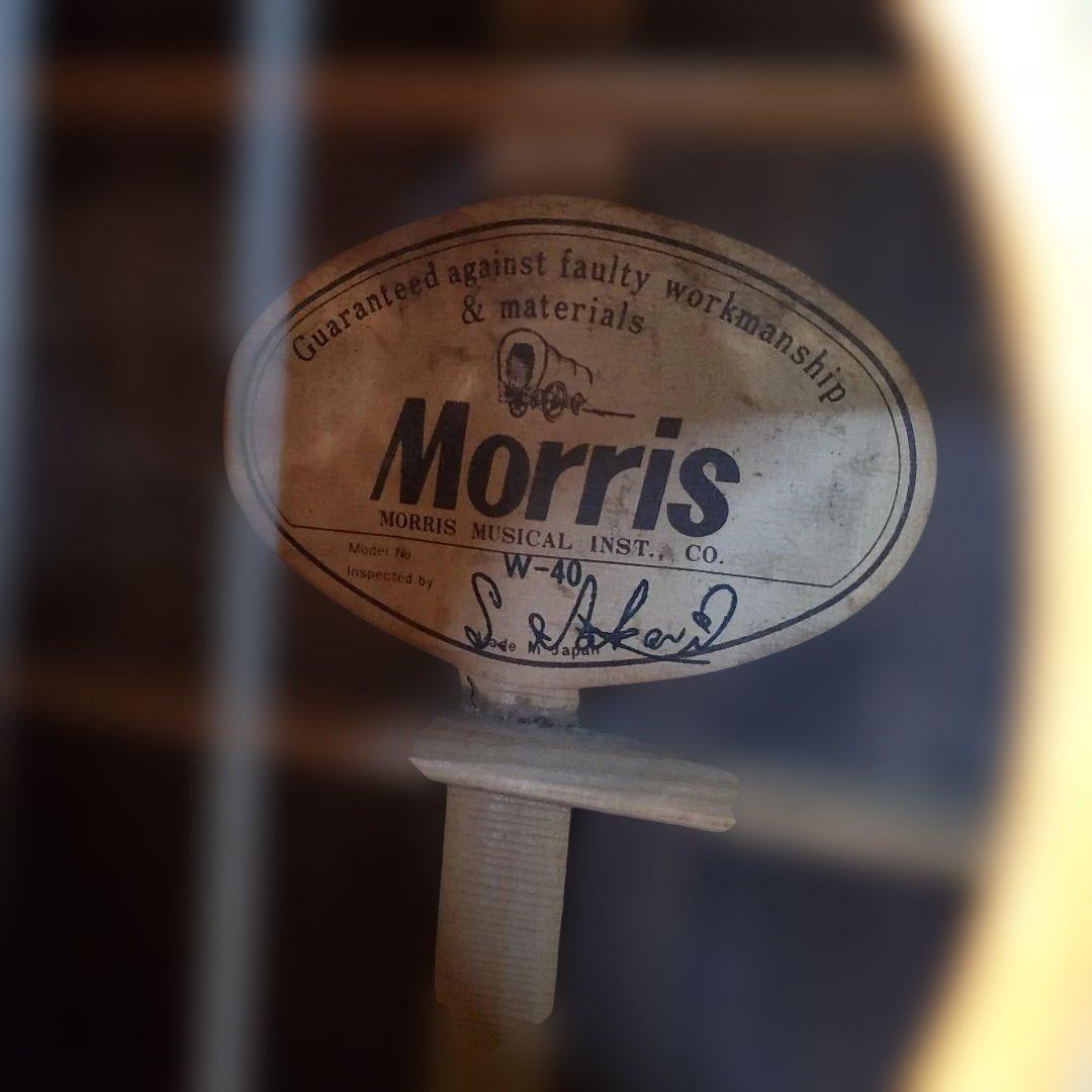 Morris W-40 アコースティックギター