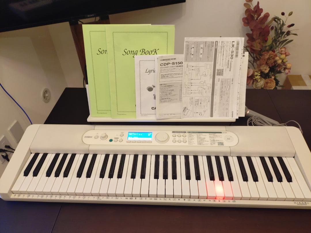 CASIO Casiotone LK-530 キーボード