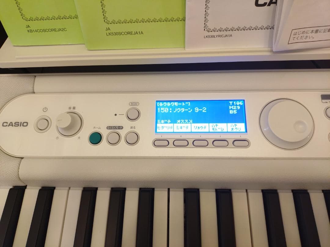 CASIO Casiotone LK-530 キーボード