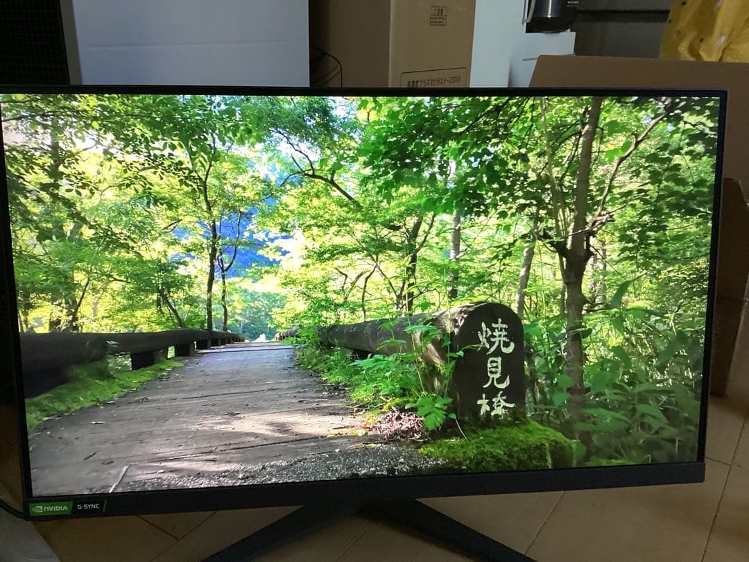 LG ゲーミングモニター 25GR75 24.5インチIPS (24年4月購入)