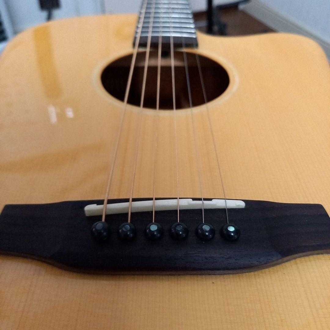 『未使用に近い美品』ELVIS エルビス　アコ－スティックギター