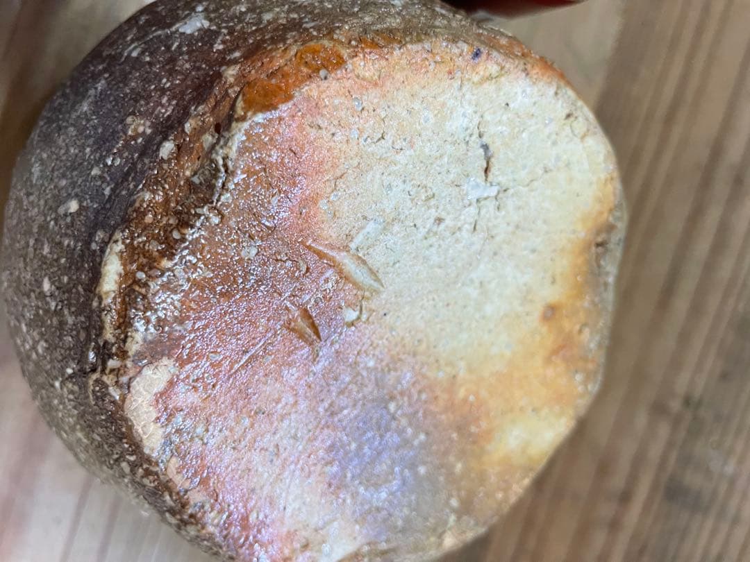 杉本貞光　掛け花入れ【m1203 花瓶　骨董　茶道　茶道具　花道　レトロ 壺 】