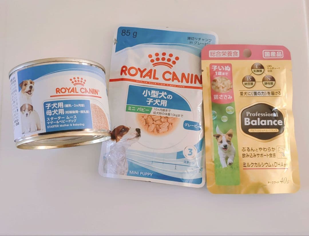  CANIN 小型犬 子犬用 ドライフード 2kg×2個