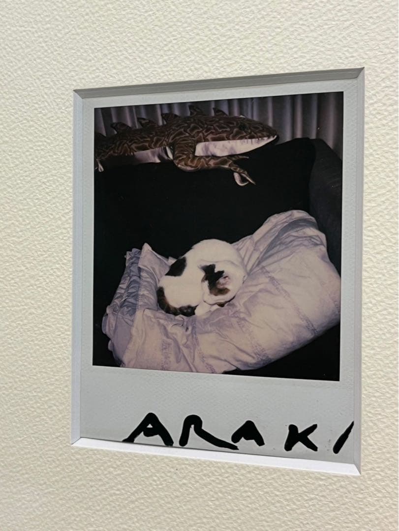 荒木経惟 ポラロイド写真 ヌード サイン入