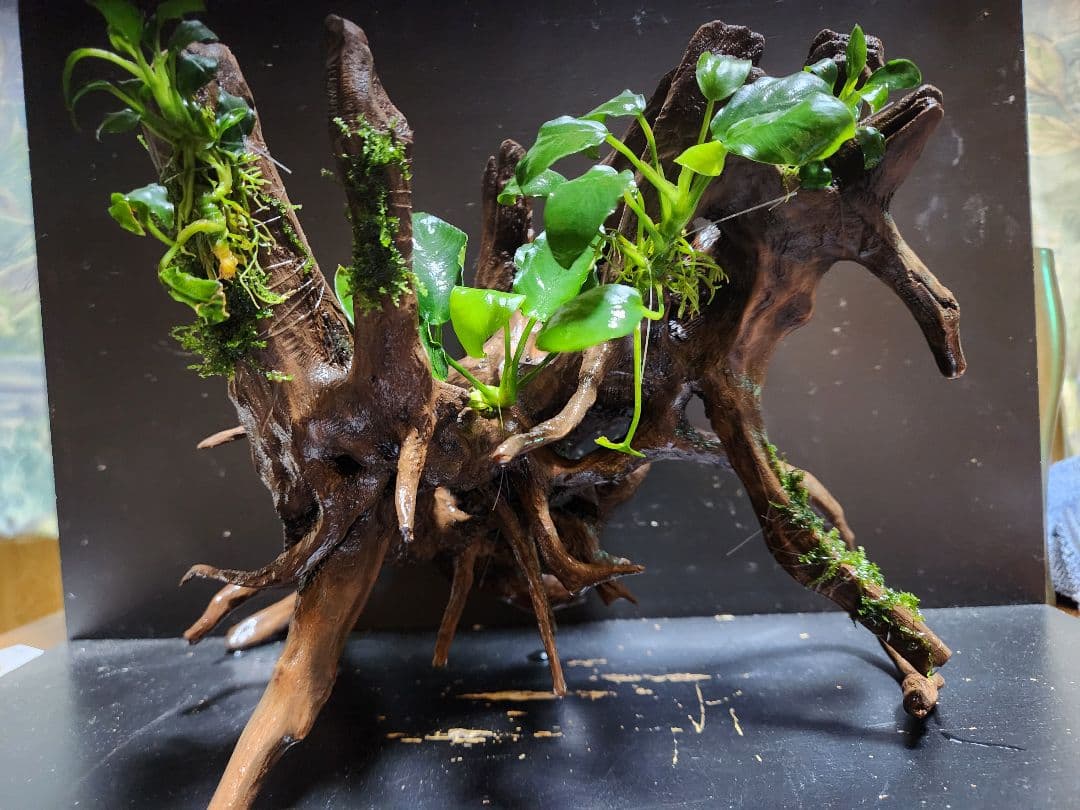 商談中ページになります。