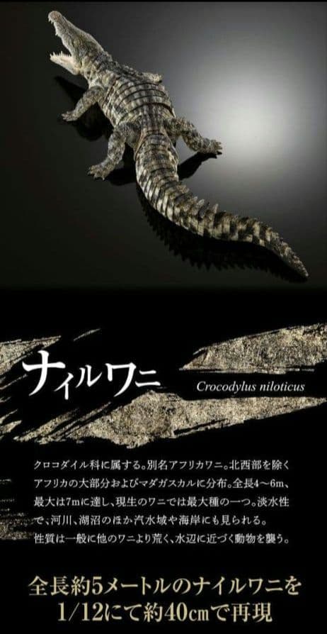 新品輸送箱未開封 いきもの大図鑑アルティメット ナイルワニ＆オオヨロイトカゲ