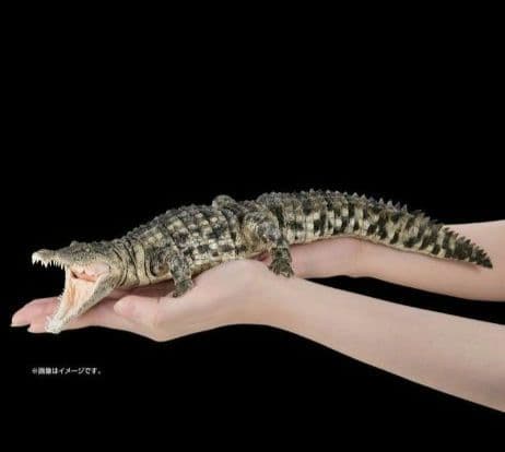 新品輸送箱未開封 いきもの大図鑑アルティメット ナイルワニ＆オオヨロイトカゲ