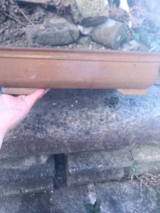 盆栽鉢　④時代銭号長方盆栽鉢黄銅色烏泥