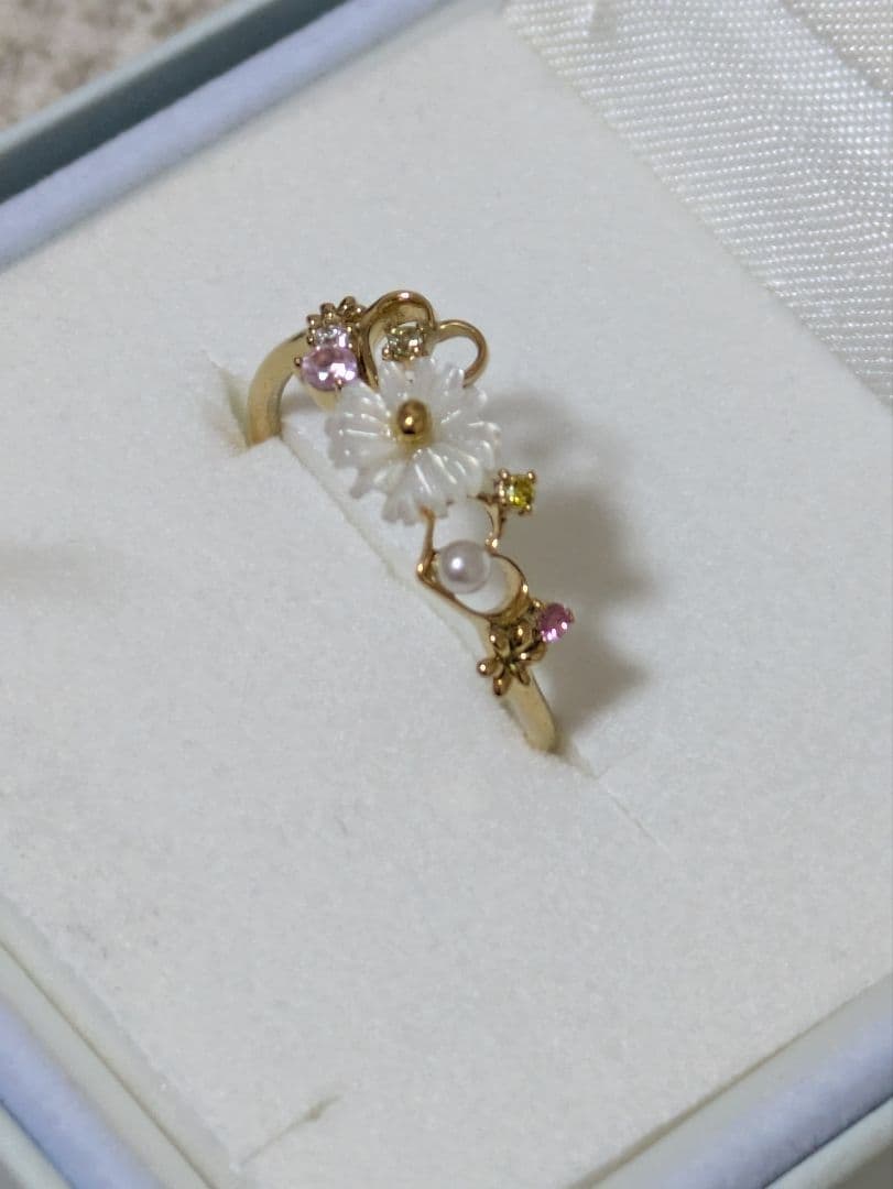 ✳️✳️lapinᙏ̤̫ ⋆*ページ