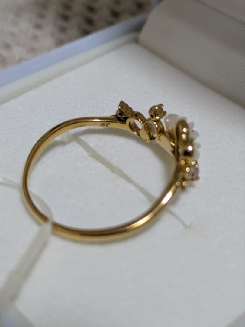 ✳️✳️lapinᙏ̤̫ ⋆*ページ